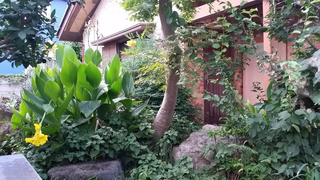 "Cherry House" Is Direct To Narita,Haneda Ap, Disney, Asakusa, Skytree Tower, Tokyo Matsudo Esterno foto
