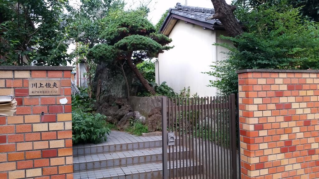 "Cherry House" Is Direct To Narita,Haneda Ap, Disney, Asakusa, Skytree Tower, Tokyo Matsudo Esterno foto
