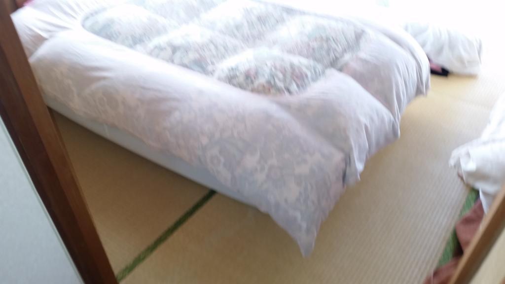 "Cherry House" Is Direct To Narita,Haneda Ap, Disney, Asakusa, Skytree Tower, Tokyo Matsudo Esterno foto