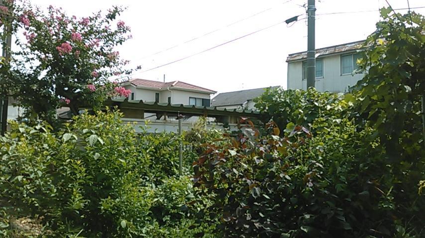 "Cherry House" Is Direct To Narita,Haneda Ap, Disney, Asakusa, Skytree Tower, Tokyo Matsudo Esterno foto