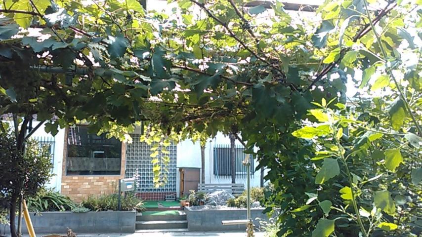 "Cherry House" Is Direct To Narita,Haneda Ap, Disney, Asakusa, Skytree Tower, Tokyo Matsudo Esterno foto